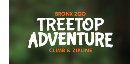 Bronx Zoo Treetop Adventure